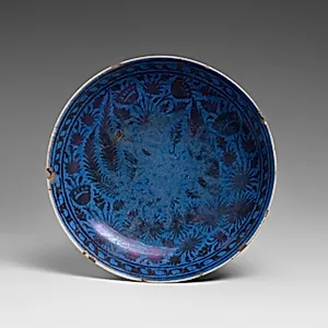 Dish