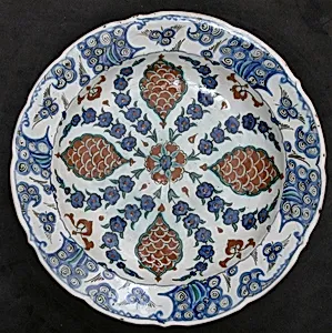 Dish