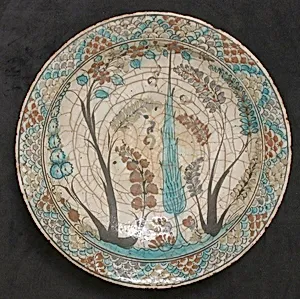Dish
