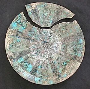 Dish