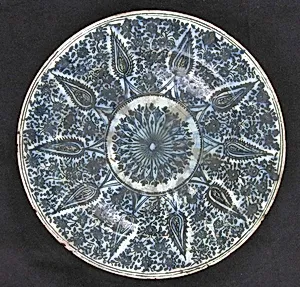Dish