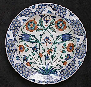 Dish