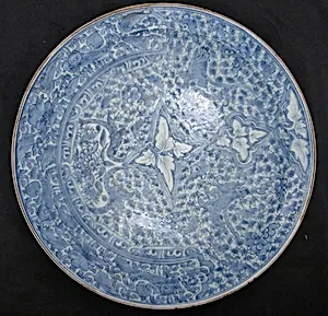 Dish