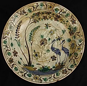 Dish