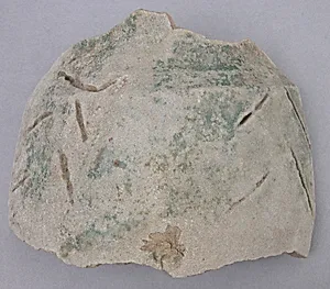 Fragment by Unknown Artist
