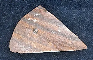 Fragment