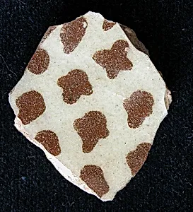 Fragment
