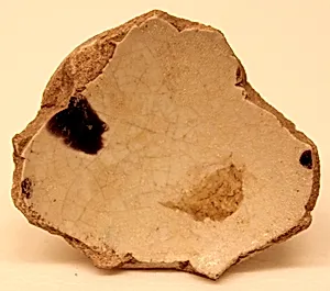 Fragment of a Bowl