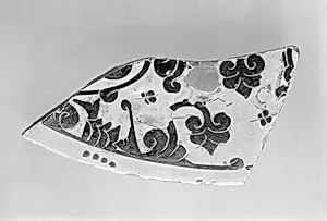 Fragment of a Plate