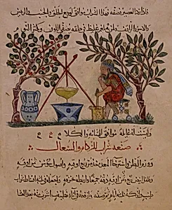 "Physician Preparing an Elixir", Folio from a Materia Medica of Dioscorides by 'Abdullah ibn al-Fadl