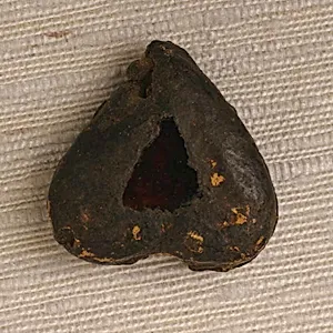 Plaque for a Collar or Necklace by Unknown Artist