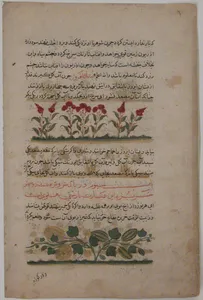 "Purple Amaranth and Watermelon", Folio from a Dispersed Nuzhatnama-i ‘Ala’i of Shahmardan ibn Abi’l Khayr