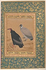 "Red-Headed Vulture and Long-Billed Vulture", Folio from the Shah Jahan Album by Mansur|Mir 'Ali Haravi