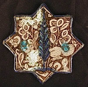 Star-Shaped Tile