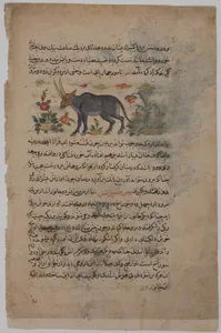 "Steinbok", Folio from a Dispersed Nuzhatnama-i ‘A’a’i of Shahmardan ibn Abi’l Khayr