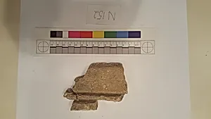Stucco Fragment