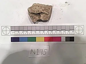 Stucco Fragment