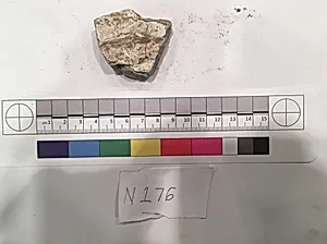 Stucco Fragment