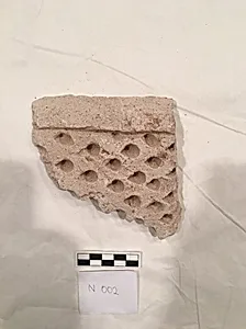 Stucco Fragment