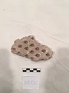 Stucco Fragment by Unknown Artist