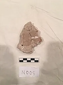 Stucco Fragment