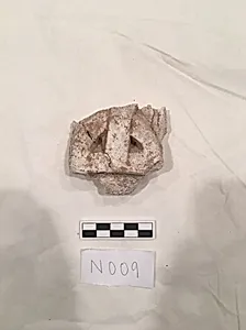 Stucco Fragment