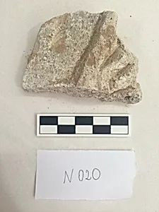 Stucco Fragment