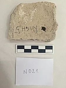 Stucco Fragment
