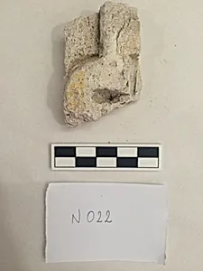 Stucco Fragment