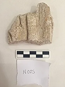 Stucco Fragment