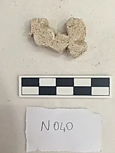 Stucco Fragment
