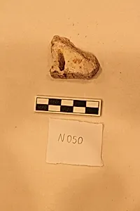 Stucco Fragment