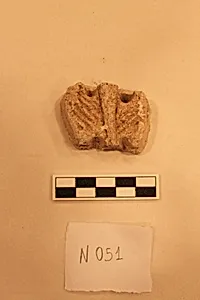 Stucco Fragment