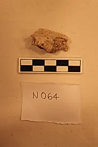 Stucco Fragment