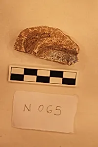 Stucco Fragment by Unknown Artist