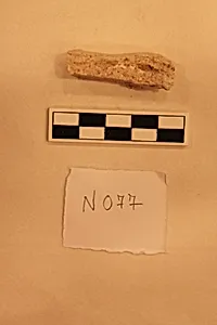 Stucco Fragment