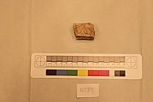 Stucco Fragment by Unknown Artist