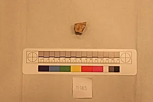 Stucco Fragment