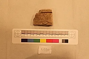 Stucco Fragment