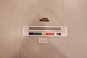 Stucco Fragment