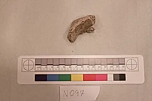 Stucco Fragment by Unknown Artist