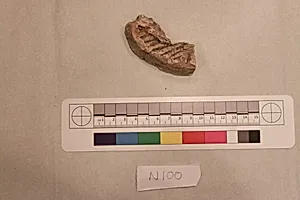 Stucco Fragment by Unknown Artist