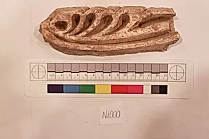 Stucco Fragment