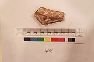 Stucco Fragment by Unknown Artist