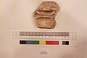 Stucco Fragment