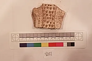 Stucco Fragment