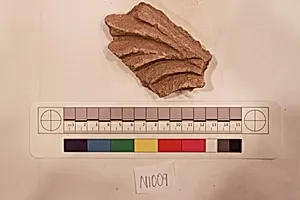 Stucco Fragment