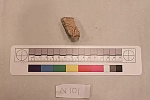 Stucco Fragment
