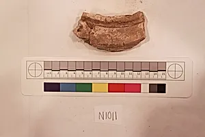 Stucco Fragment