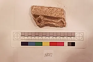 Stucco Fragment